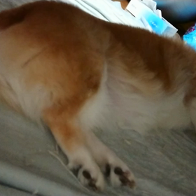 小走り=3=3の画像