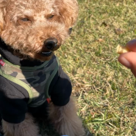 訓練学の様子(*^^*)の画像
