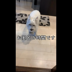 お風呂の日の画像