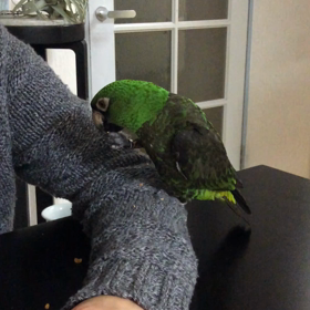 大豆がお好きの画像