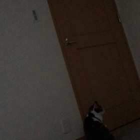 羽生君と同じ〜〜。娘。必死なデールちゃん。の画像