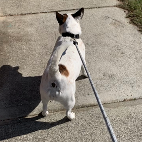 殴り込み？の画像