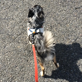 土曜の昼下がりの画像