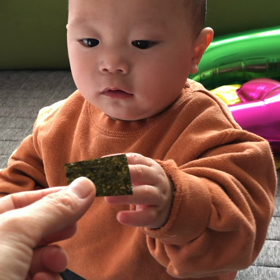 海苔にハマるうたくんの画像