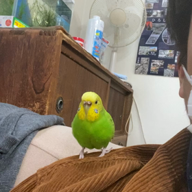 ご機嫌きいちゃんの画像