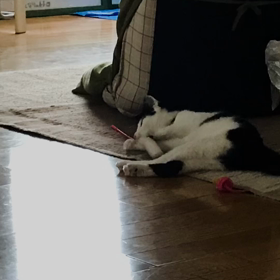 勝手にムービーの画像