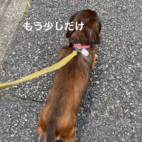 元気になりますように。の画像