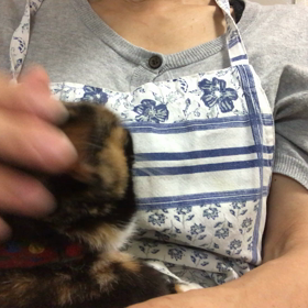 ふーちゃん可愛いさ満開の画像