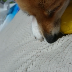 あげません！！の画像