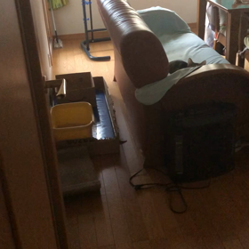 チップ君が天使になった日…新宿から鬼怒川へ。お留守番デール。の画像