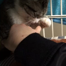 スタッフさんと合流の画像