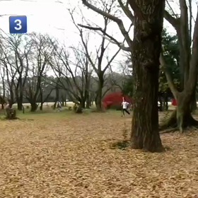 400mインターバル中間点③の画像