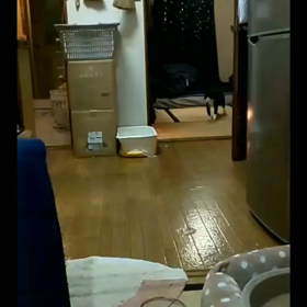 迎えて4日目の画像