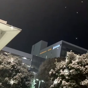 雪、、、の画像