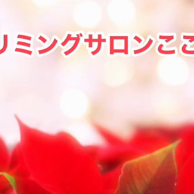 12月　〜スライドショー〜の画像