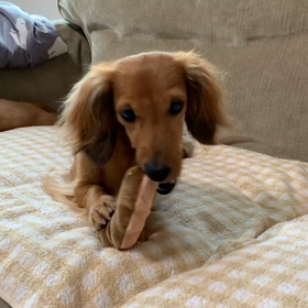 さんちゃんベビー♡おもちゃの画像