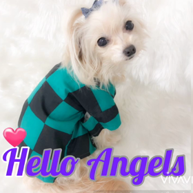 毎月第１金曜日はデンタルケアdayの画像