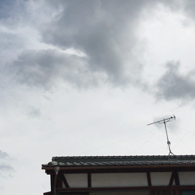 最近お昼にの画像