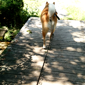 暑い日最高の画像