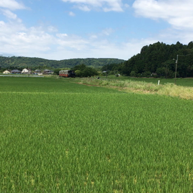 小湊鉄道のトロッコ列車の画像