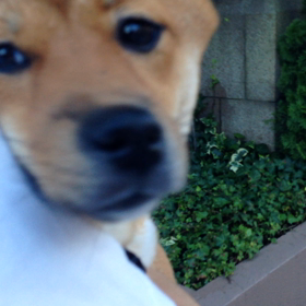 2015年9月13日の画像