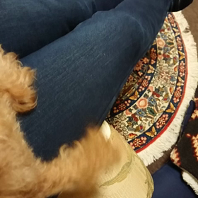 ノアの命日☆ミ不思議なココちゃんの画像