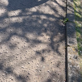 今日は婚活の日の画像