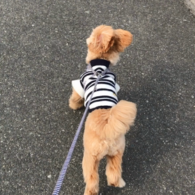 下手くそ同士だけどの画像