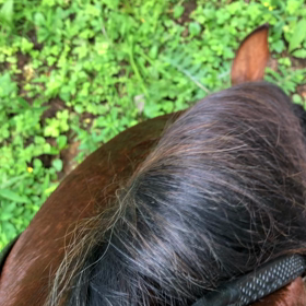 今日のリラと私の画像