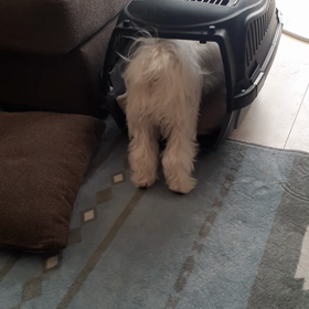 練習中です。の画像