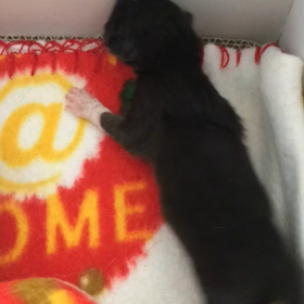 皆さんに感謝！の画像