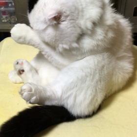 男の身だしなみの画像