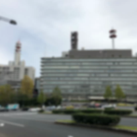 Shima散歩TOKYO国会議事堂駅前から皇居あたり散歩ver.2の画像