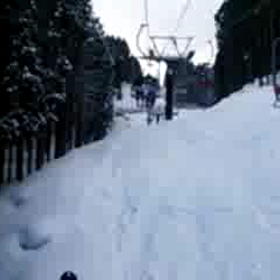 本日もスキー♪の画像