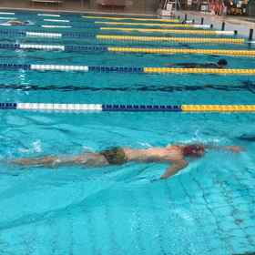 スタート、ターンの画像