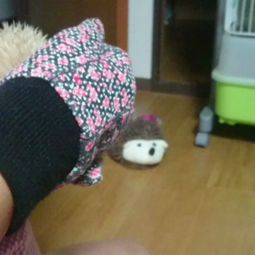 ＃こんな夜中にごめんなさい(>_<)＃の画像