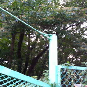 夏のお散歩　～平和を願って～の画像