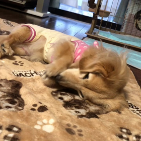 かゆい？の画像