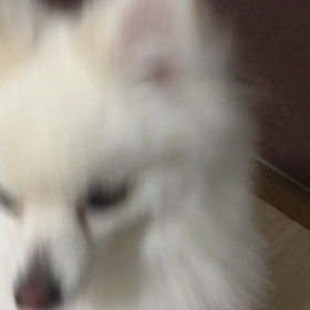 こんな事が出来るようになりました^ - ^の画像