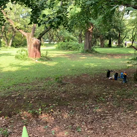 400mインターバル⑥の画像