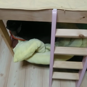 チル食欲不振と兄妹仲良し動画の画像