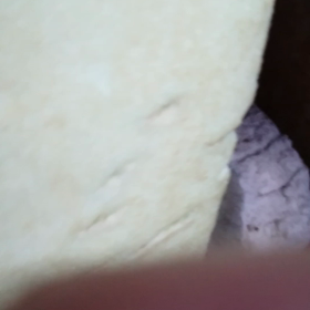 うちの当歳の画像