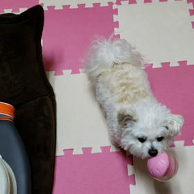 スマホの欠点の画像