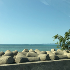 満員電車‼️遅延‼️コロナ危険‼️癒しの動画の画像
