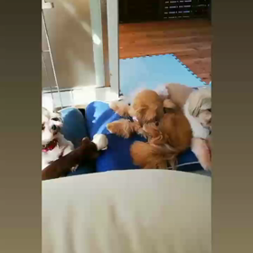 あ~おいしかったの画像