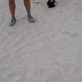 稲毛海岸の画像