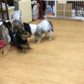 今日のふれあいタイムの画像