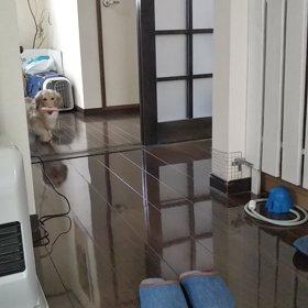 パパが居る時は 怒れなかったママですの画像