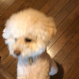 抱かれたい男の画像