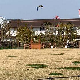 お散歩動画配信の記録５の画像